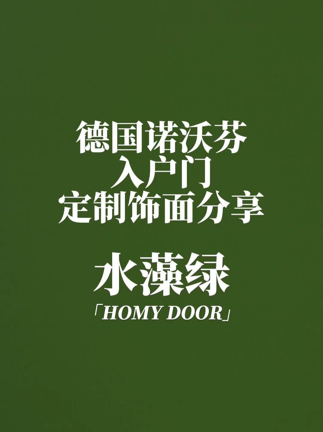 诺沃芬 入户门 极简门 防盗门