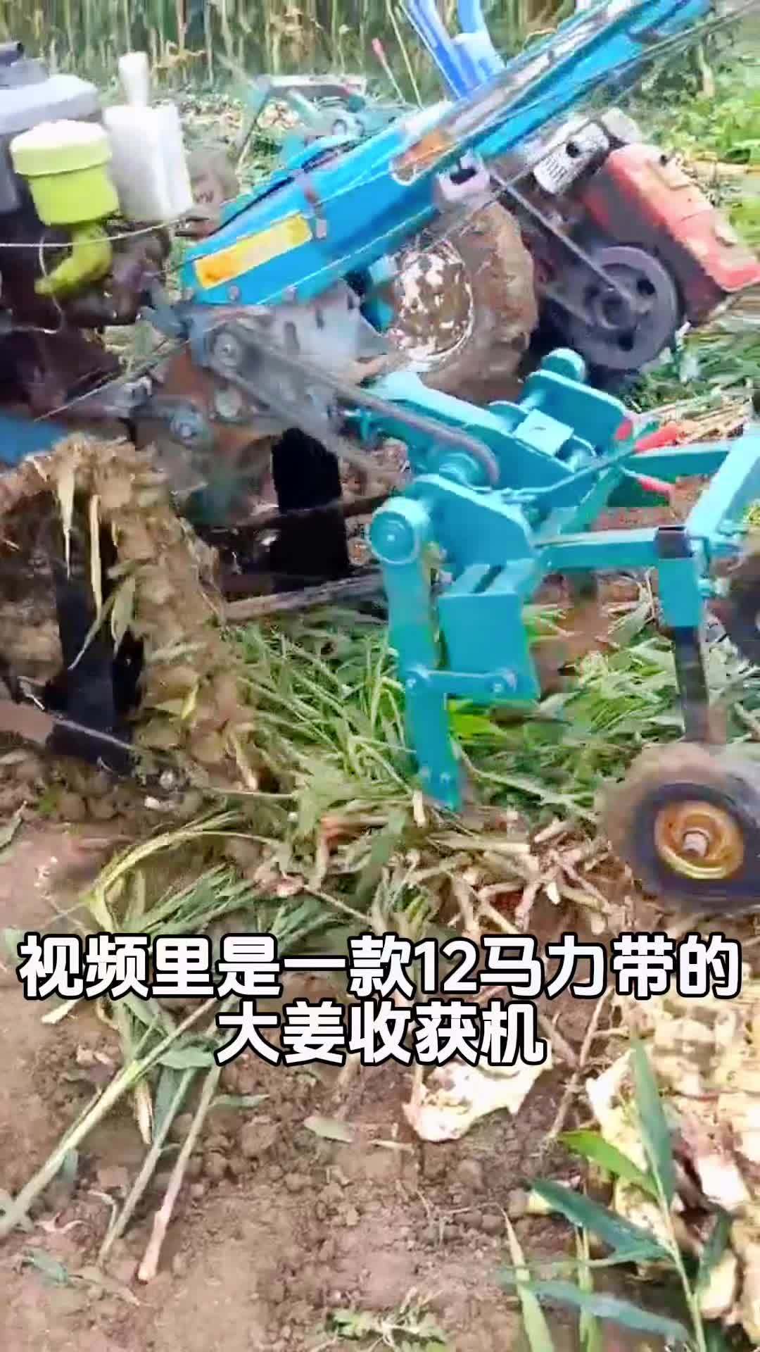 大姜收获机链轨式,手扶小型拖拉机带的 大姜收获机链轨 出姜机器 出姜