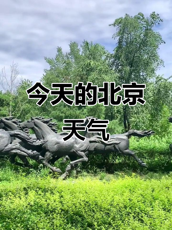 北京今天的天气在线