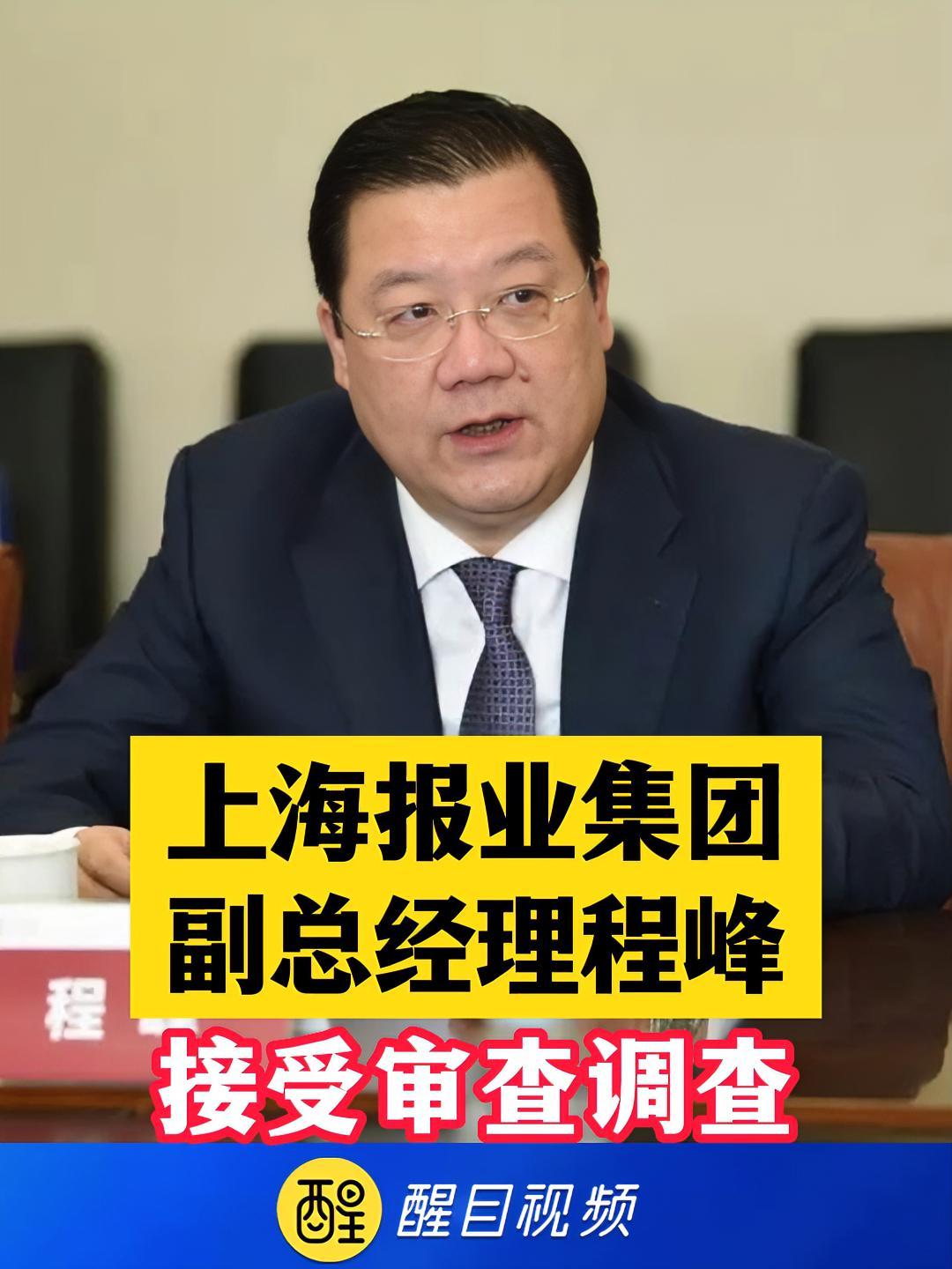 上海报业集团副总经理程峰接受审查调查上海报业集团调查审查违纪违法