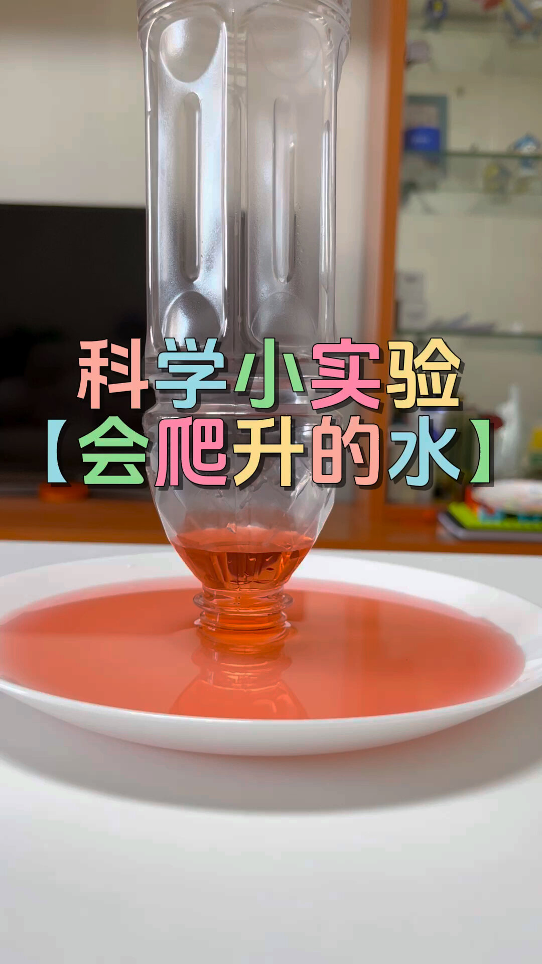 试管爬升实验视频