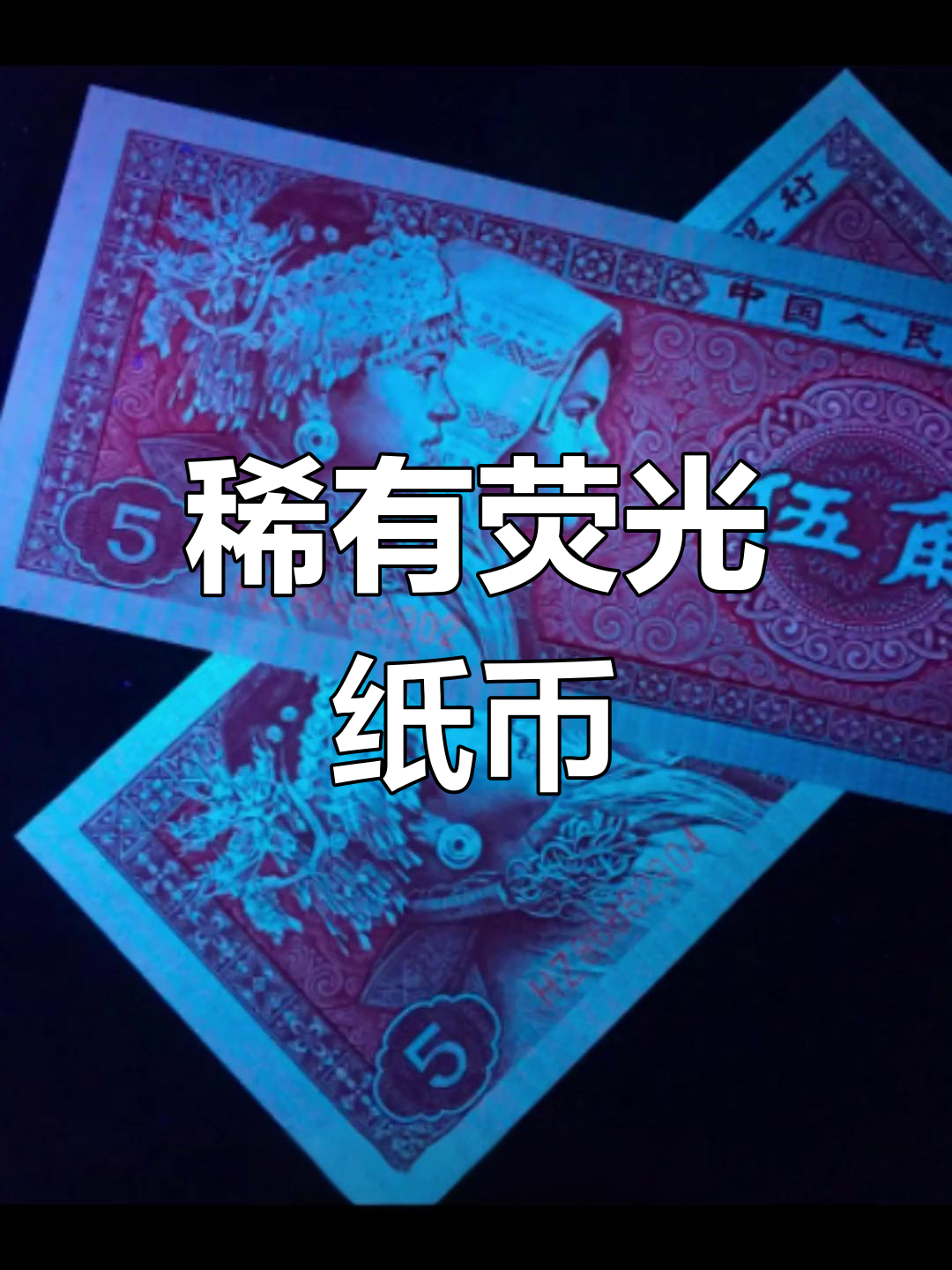 荧光币中的珍稀品种,8005枫叶红揭秘