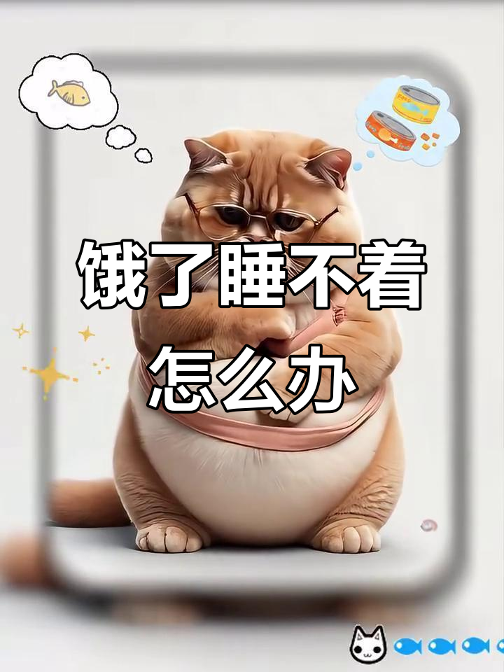 饿得睡不着,心情烦躁到极点!