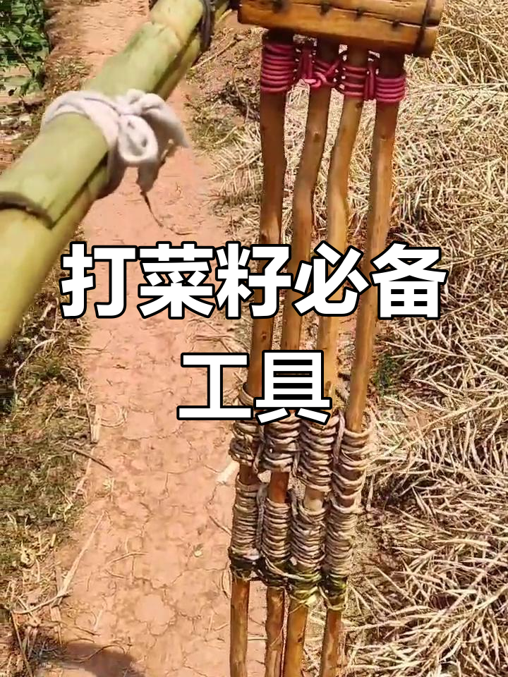 全国通用打菜籽神器,普通话版名字揭秘