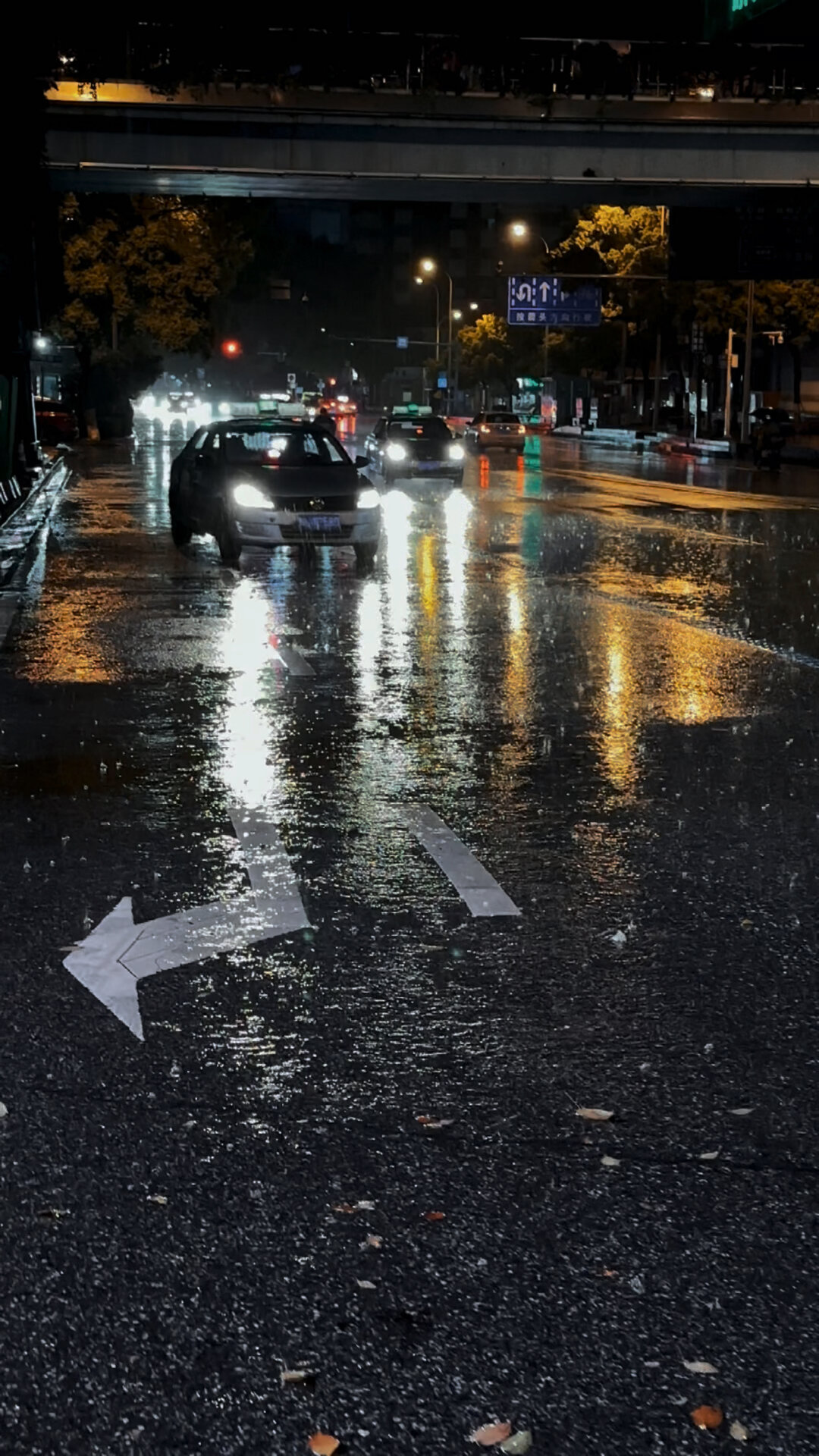 原创拍摄夜晚街道车流雨素材