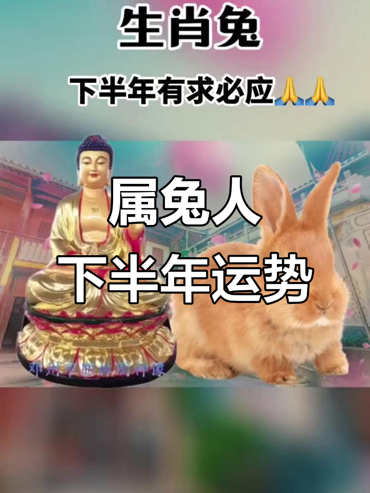 兔生肖下半年运势大全(属兔的下半年的运势)