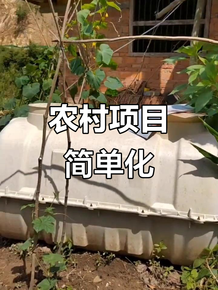 农村新型项目(新农村项目建设)