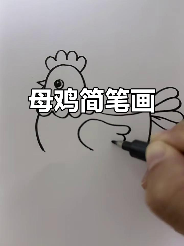 画一只孵蛋的母鸡,简单又可爱