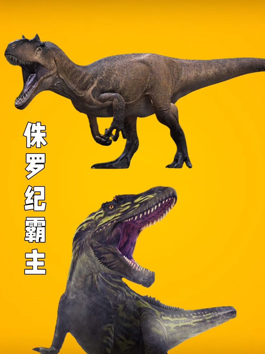 比霸王龙还早的异特龙凭什么在侏罗纪称霸?-度小视