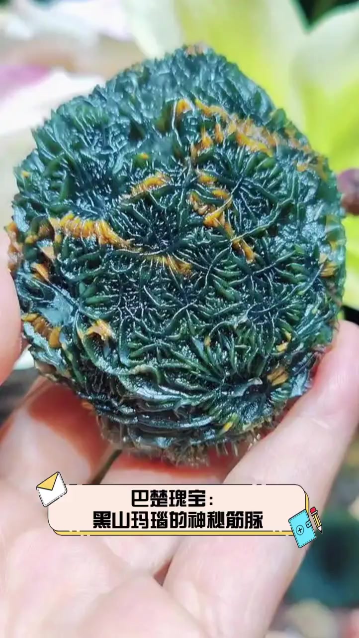 巴楚瑰宝:黑山玛瑙的神秘筋脉