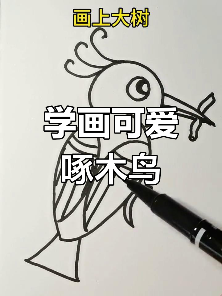一起画啄木鸟,简单又有趣!