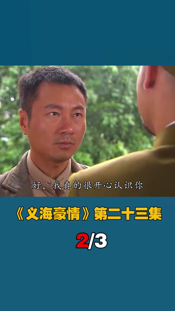 《义海豪情》23:刘醒帮助游击队遭发现,九姑娘无力救助