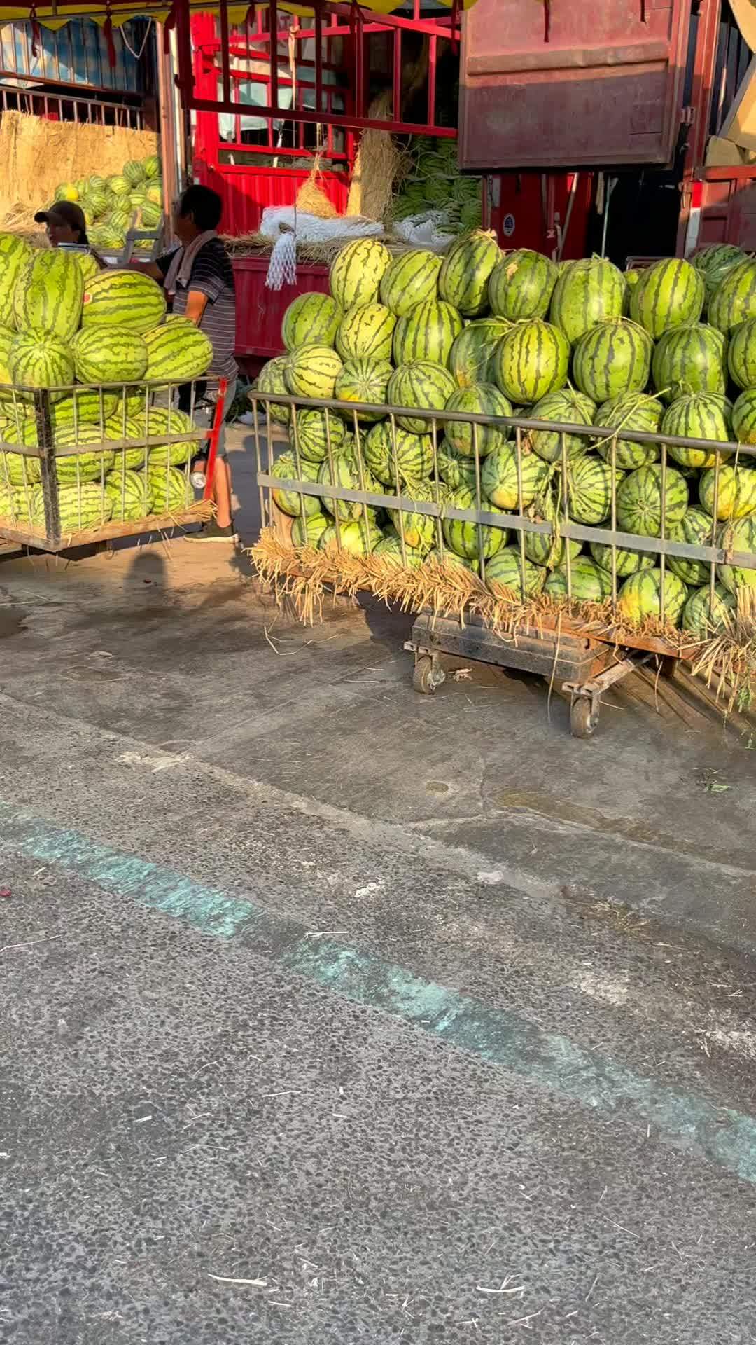 为什么现在的西瓜比高温天气好吃的简单介绍