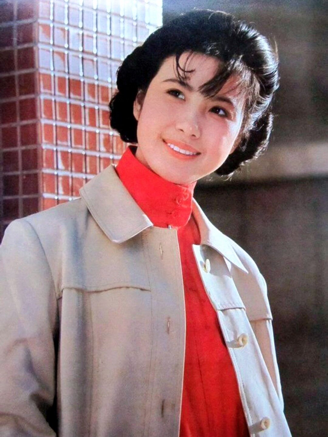 怀旧经典篱笆女人和狗