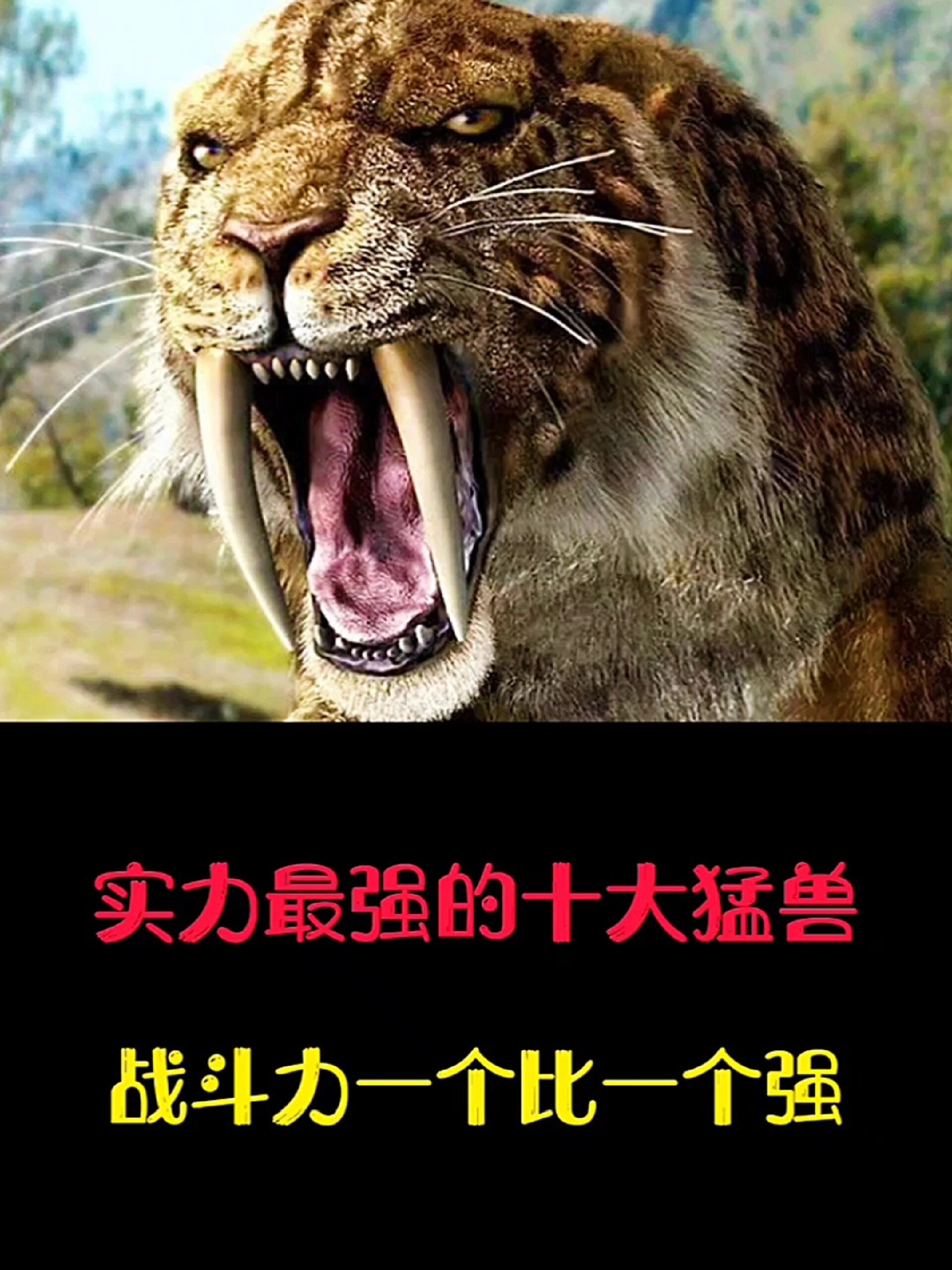 世界十大猛兽 前十名图片