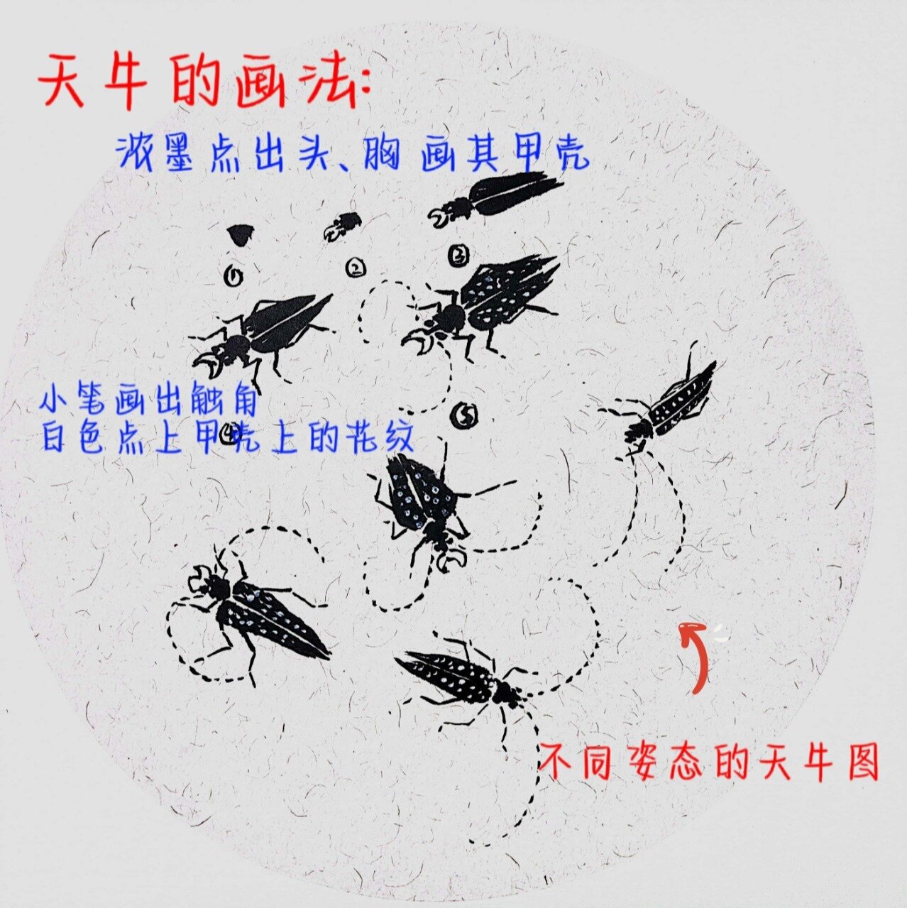 国画昆虫天牛的绘画绘画过程