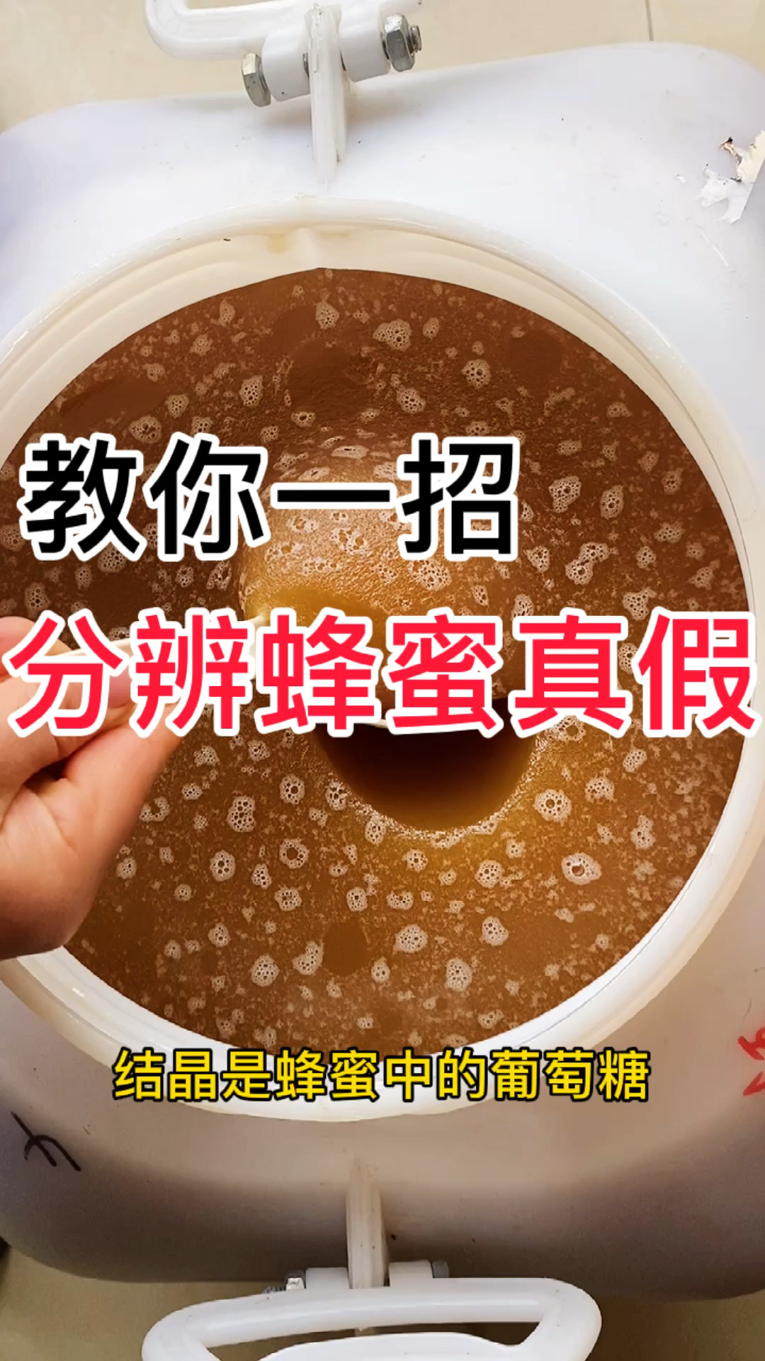 真假蜂蜜怎样识别(真假蜂蜜怎样识别图片)