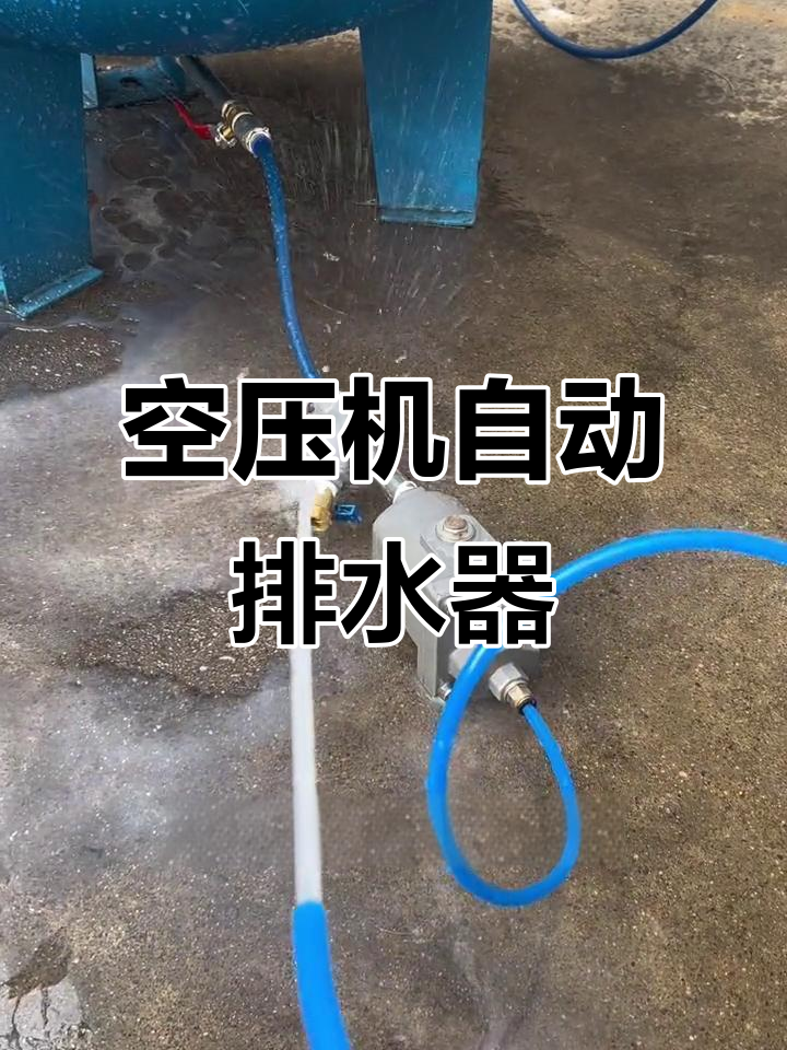 自动排水器,零气损设计,不锈钢材质耐用稳定