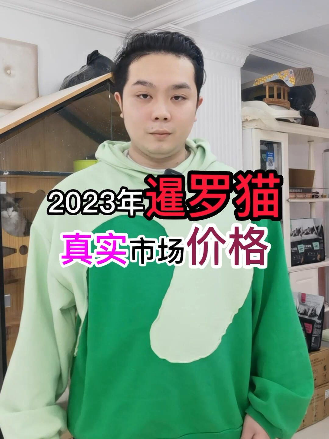 30秒带你了解暹罗猫价格