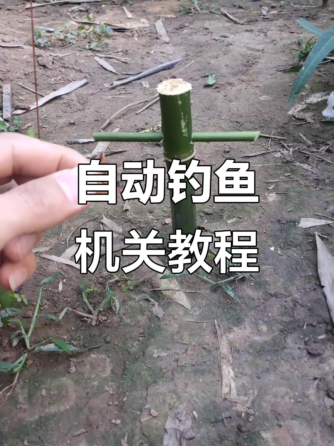 手工制作自动钓鱼机关,轻松搞定农村生活