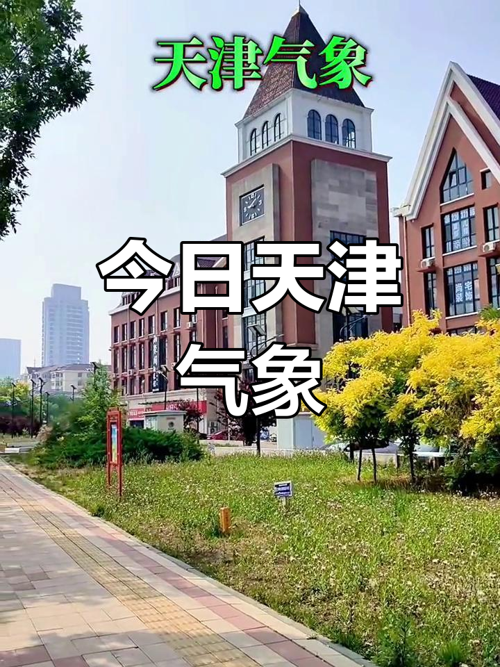 汉沽今天天气