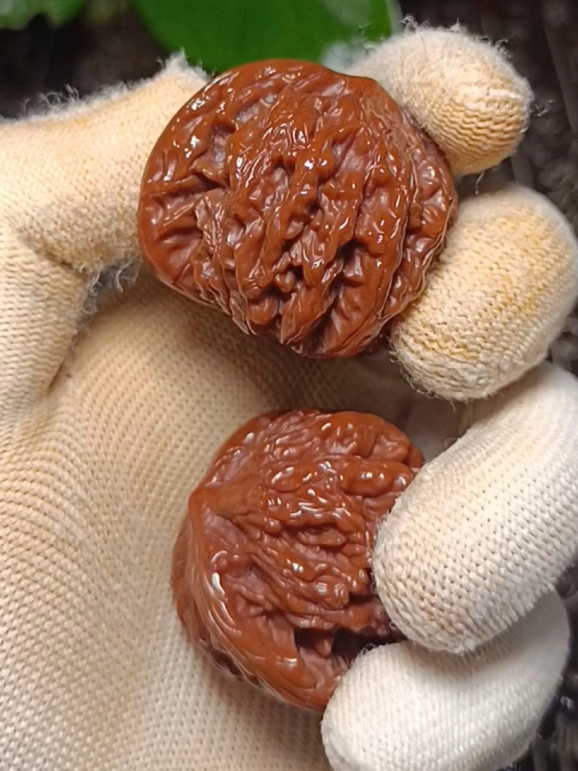 文玩核桃盘的不红透怎么办?
