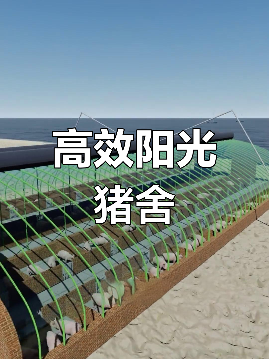 高标准猪舍设计,育肥600头