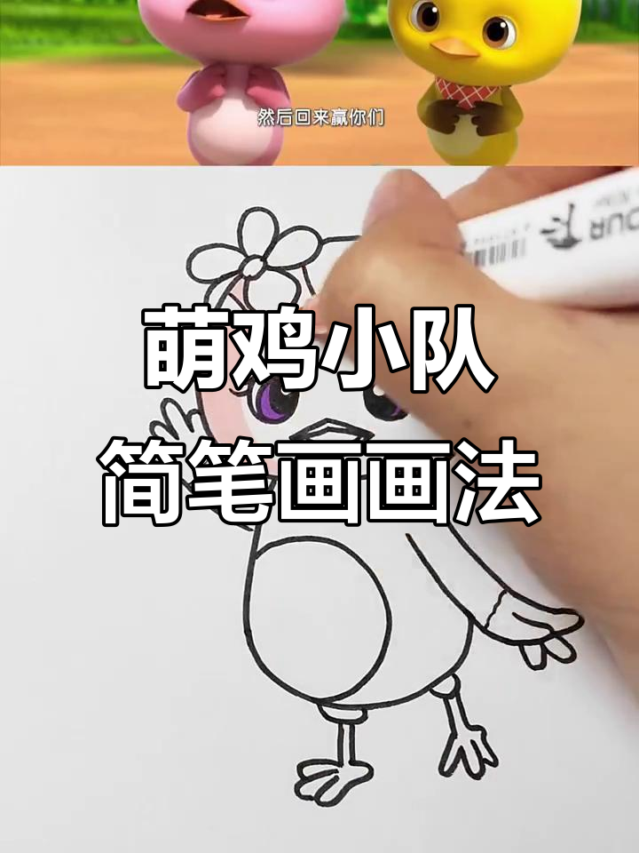 萌鸡小队简笔画大挑战,谁能画出最可爱的角色?