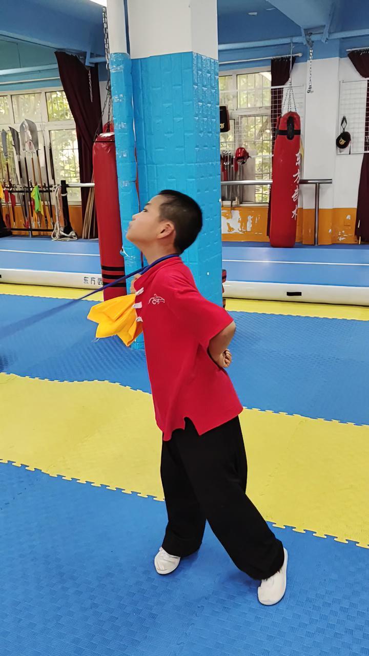 九节鞭速成教学,点击视频下方教学链接,66集系统讲解,零基础快速入门.