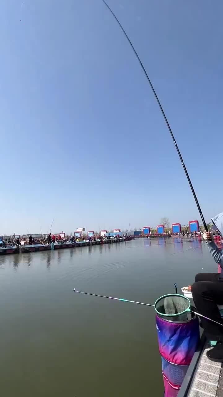 钓鱼界四大天王!