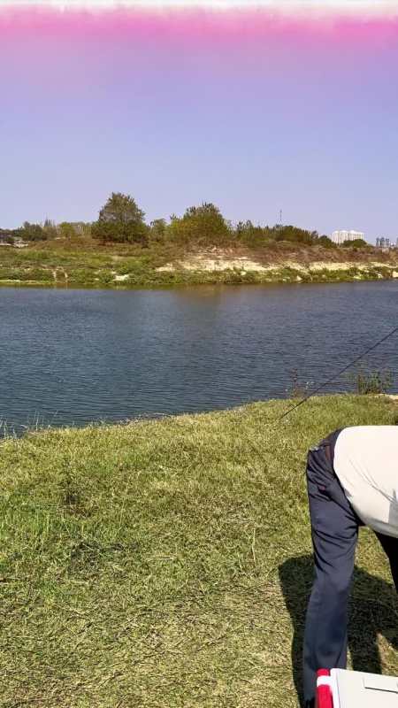 现场实拍 在新洲小憩一会儿 遥看铁甲湾花海 网红景点打卡-度小视