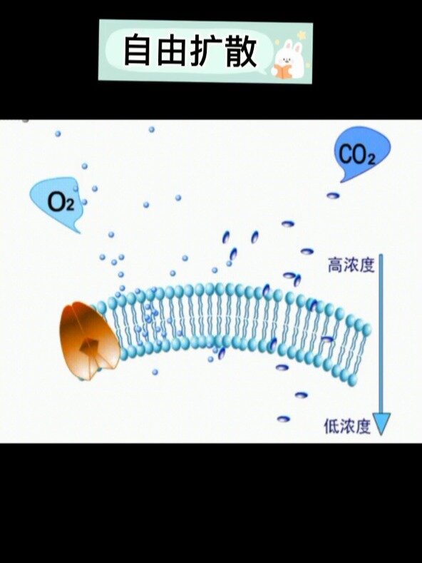 主动扩散图片