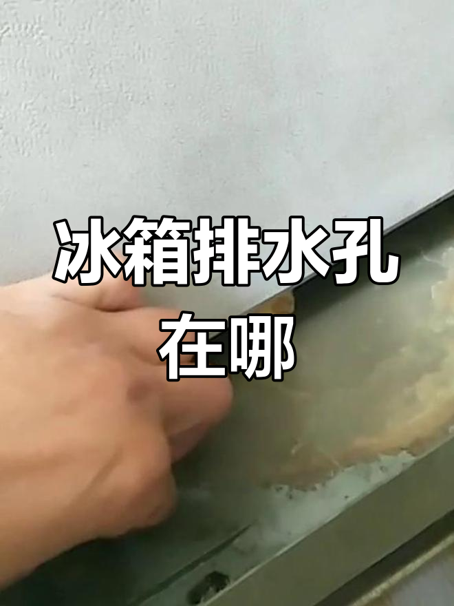 冰箱排水孔位置大揭秘,轻松找到冷藏底部