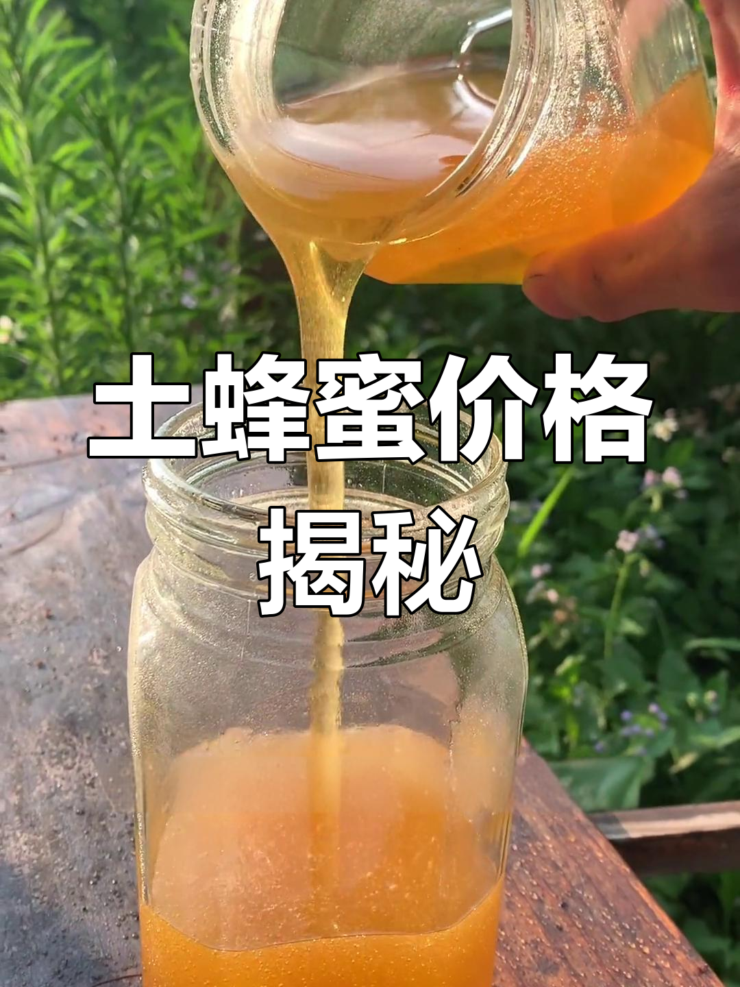 纯蜂蜜市场价位一斤多少钱(纯正的蜂蜜多少钱一斤) 纯蜂蜜市场价位一斤多少钱(纯正的蜂蜜多少钱一斤)