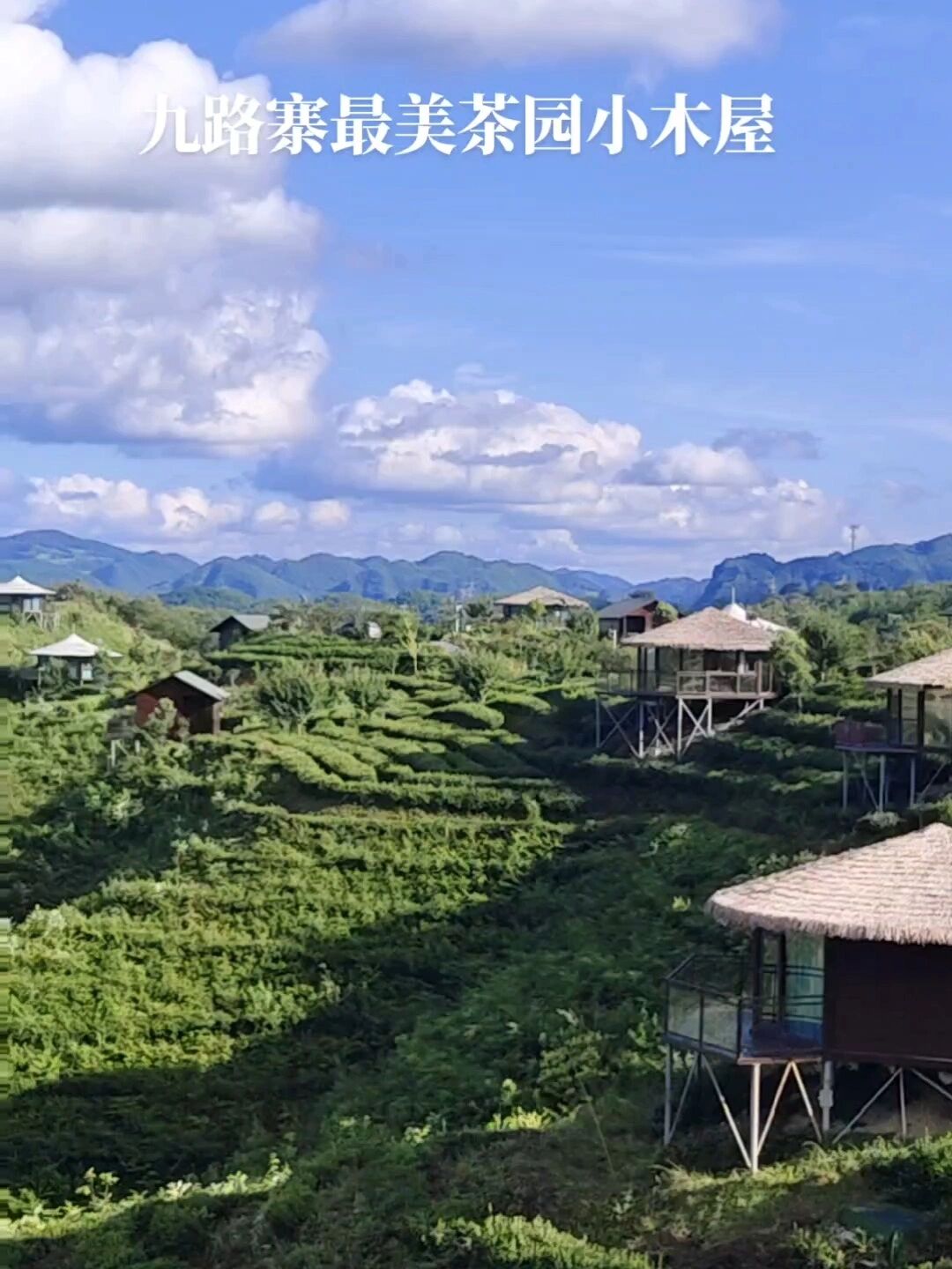 湖北保康九路寨最美茶园小木屋