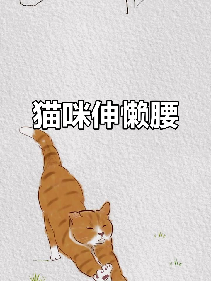 猫咪在红豆堆里伸懒腰,萌态十足