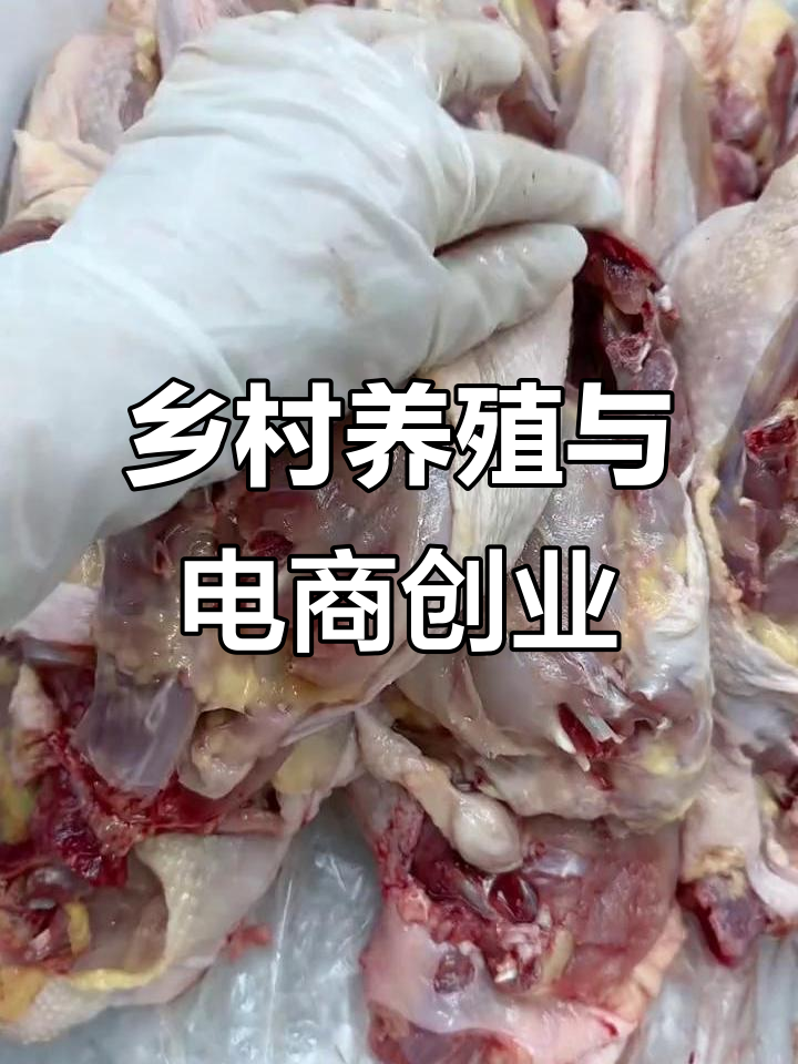 创业养殖做什么好(创业养殖做什么好一点)