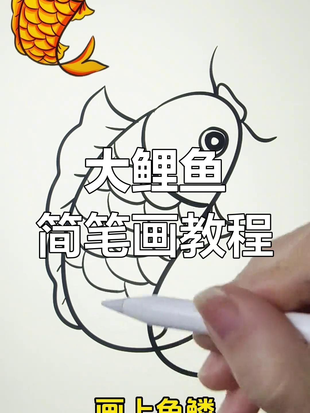 简单步骤画出大鲤鱼