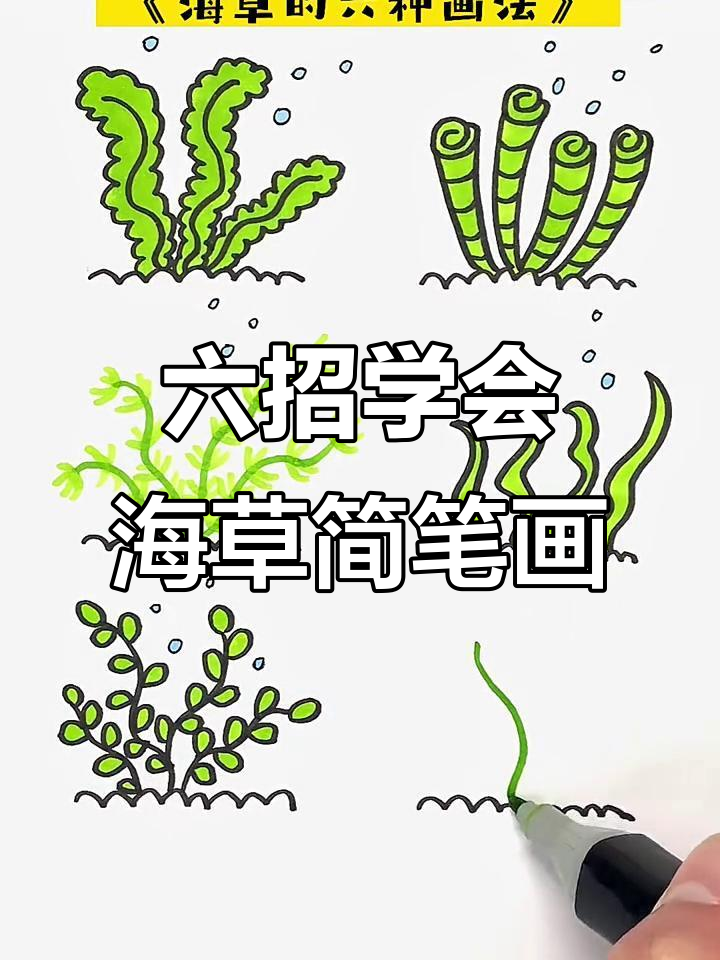 海草画法全解析,轻松掌握六种技巧
