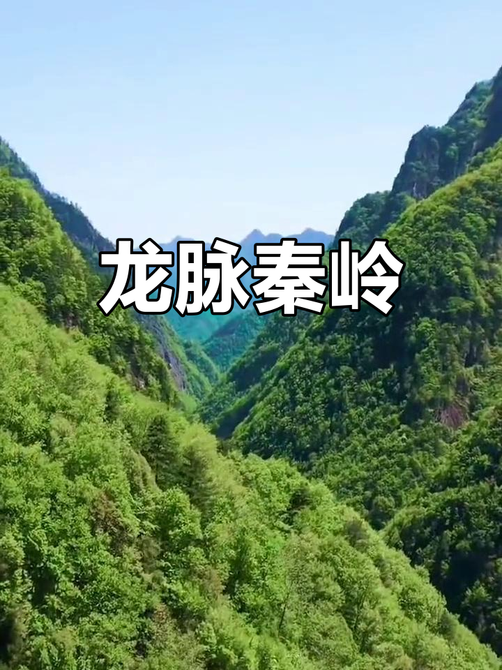 秦岭:南北分界线的龙脉