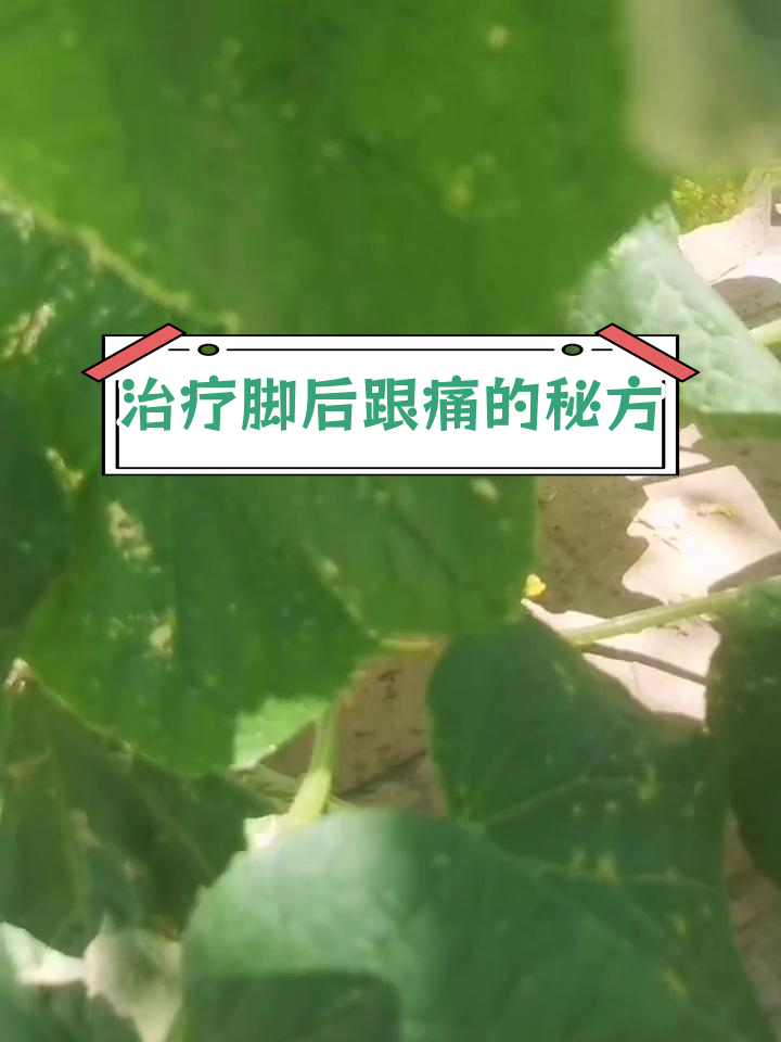脚后跟痛?试试这个简单偏方