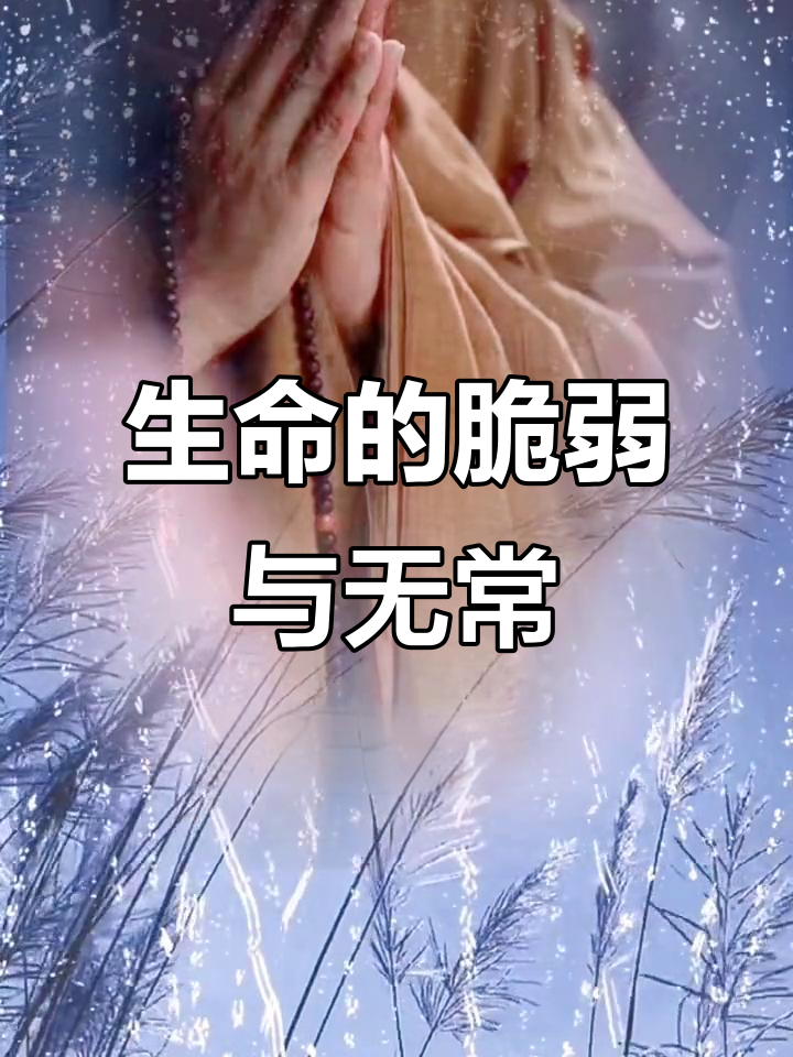 生命无常,珍惜当下,明天和意外谁先到,难以预料