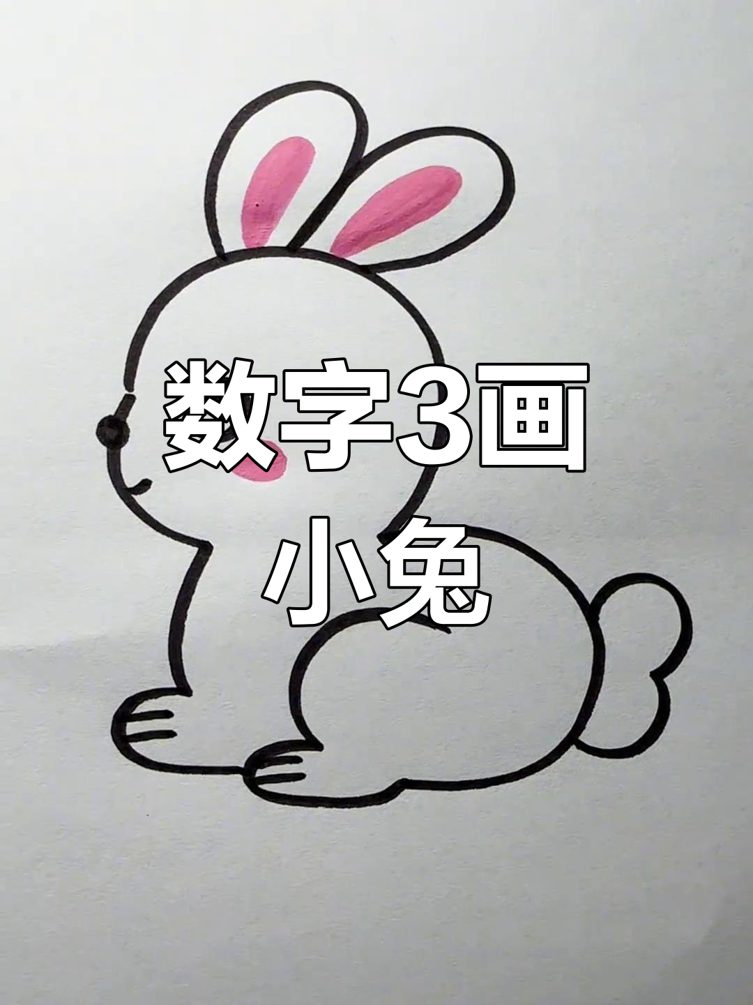 用数字画兔子的视频