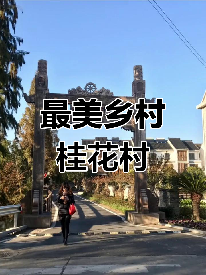 桐乡桂花村,美景随手拍!