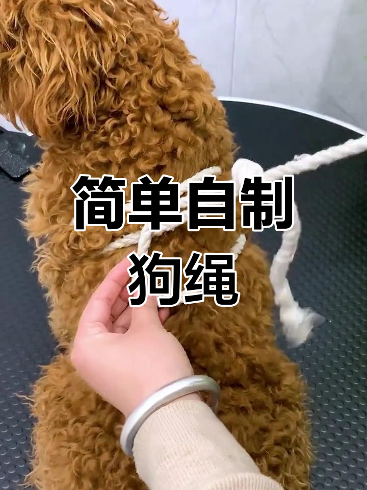 拴狗绳的系法图解小狗图片