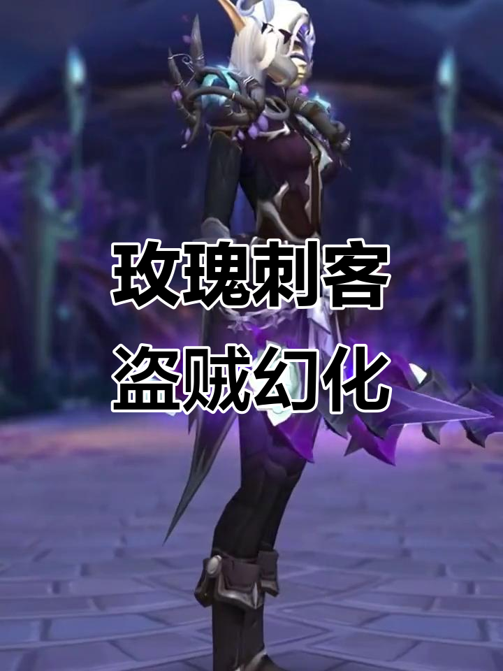 玫瑰刺客盗贼幻化,附全套装备搭配