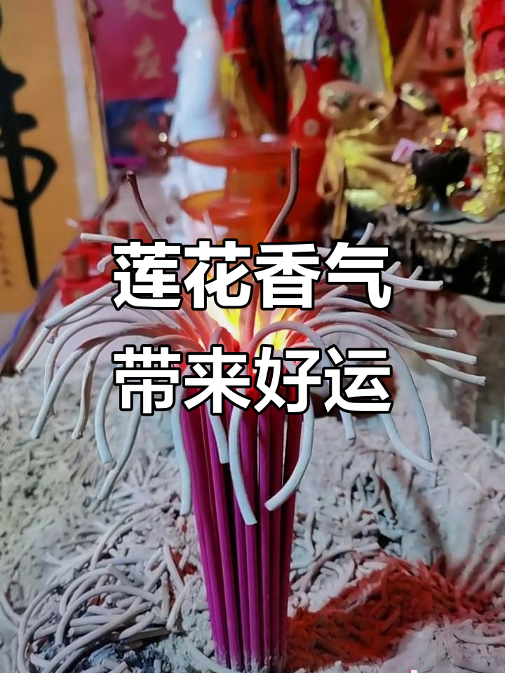 莲花香到,好运连连!愿你一生平安顺利