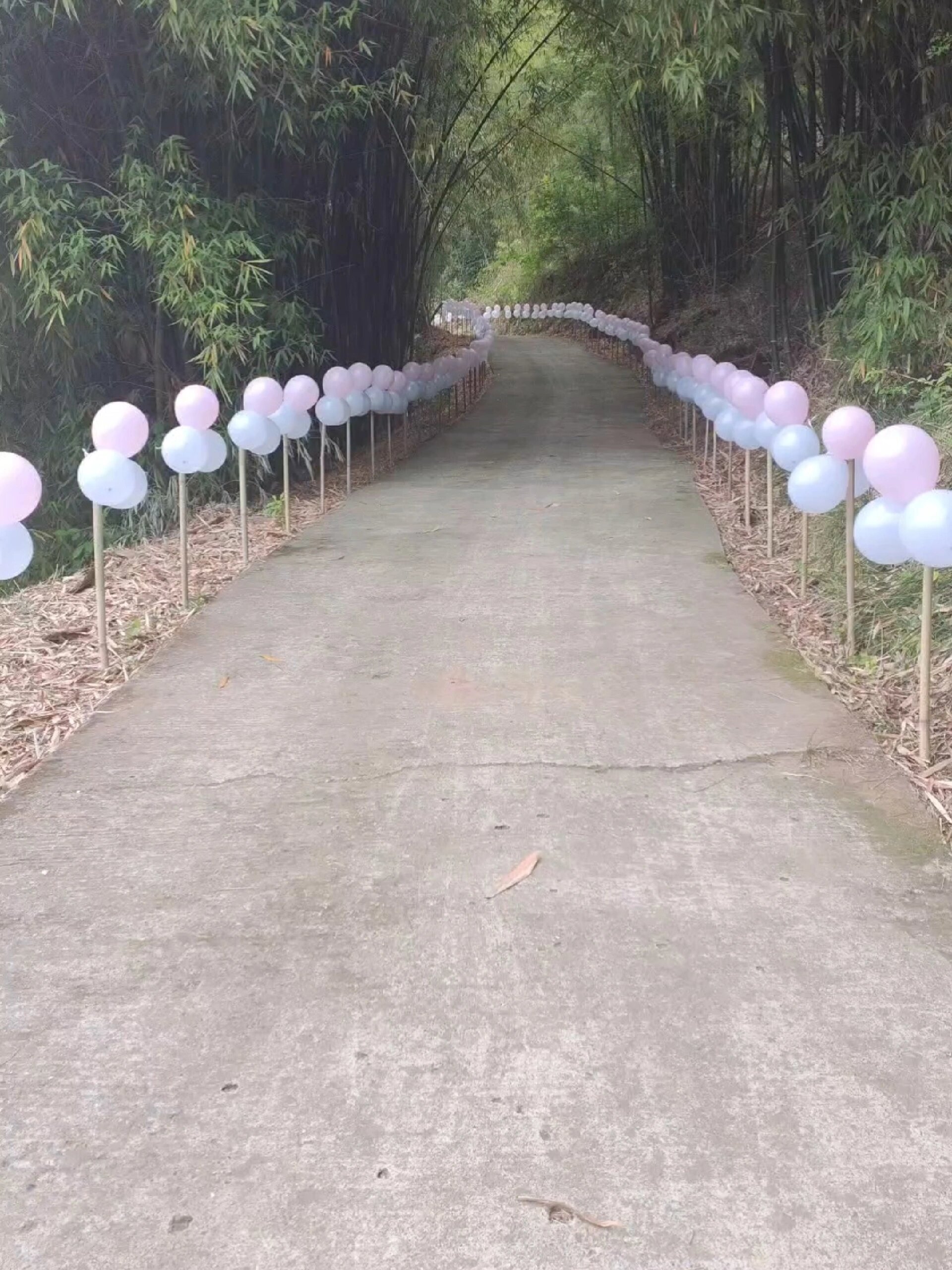 农村婚礼场地布置,路边气球,仪式感满满