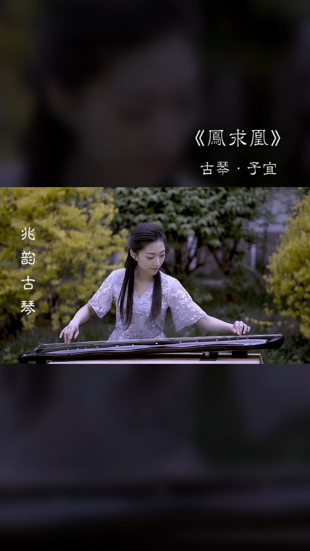 古琴曲《鳳求凰》:有美人兮,見之不忘