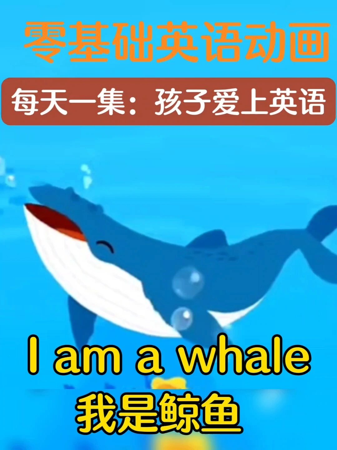 动画视频轻松学英语whale鲸鱼